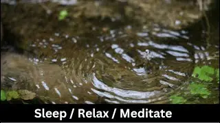 1 Hour Rain Drops In  Pond Sounds Sleep Sound Meditate Relax  Study ASMR #nature  #rain