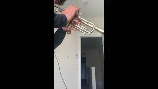 Naruto - Despair - Trumpet Cover