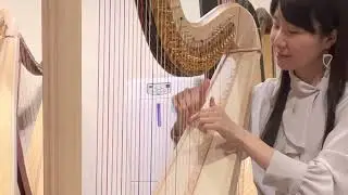 ダフネ40弦vs47弦弾き比べ Salvi Daphne