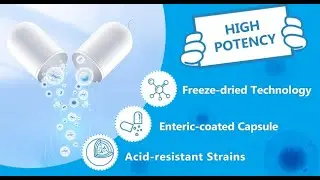 2024's Top New Probiotic Capsule Review