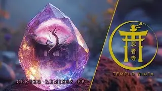 DIEGO SCHULTZ - CEREZO ( ZIIDEREAL REMIX ) [Colour Bass | Templo Ninja]