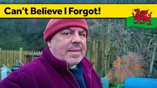 370. Making New Plans - Slow Living Alone in Wales
