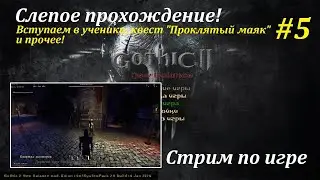 Г2: НВ - Новый Баланс! | Слепое прохождение #5! #gothic2 #готика2 #gothic2mod #games #игры