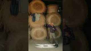 Sleeping On The Haystack