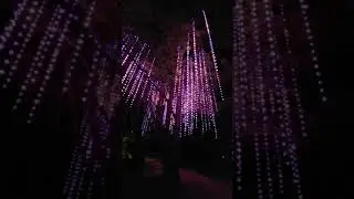 Agora: Path of Light at Blue Mountain