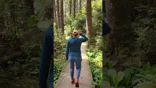 Fern Canyon rim section, Redwood National Park, California