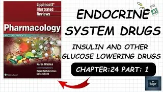 Insulin and other glucose lowering drugs [Endocrine system drugs] from lippincott chapter:24