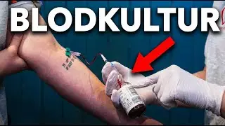 Blodkultur er Enkelt – Hvis Du Gjør Dette Riktig