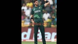 Shaeen Afridi Next captan Pakistan cricket team Basit Ali  #badshahnews #cricket #shortvideo