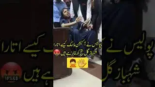 Shahbaz Gill To Judge 😨 #shorts #shortsfeed #imrankhan #shahbazgill #judge #islamabad #todaynews