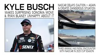 Kyle Busch's Move at Sonoma Upsets Ryan Blaney | NASCAR Delays Caution Again | Another Animal Killed
