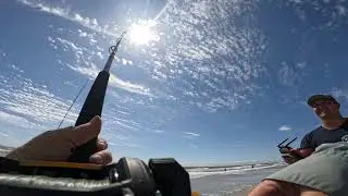 Swellpro fd3 shark fishing 