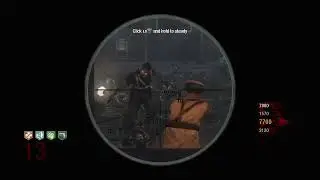 Losing 3 Guns (Thundergun included) + 4 Perks, to Host Leaving Online Match (COD: Black Ops Zombies)