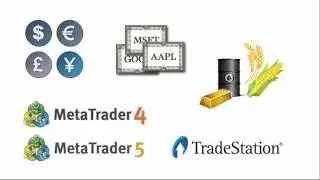 Meta Trader 4 & 5 -  Binary Options -  MT4 Indicators -  Forex Expert Advisor
