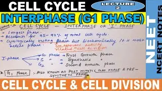 Interphase of cell cycle | G1 phase of cell cycle | G0 phase in hindi | CBSE |Class 11 | NEET21-22 |