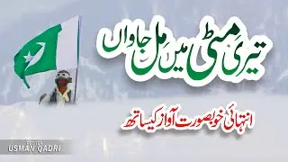 Teri Mitti Mein Mil Jawa | 14 August | Mili Naghma | Pak Army | Song | Naat Sharif | Usman Qadri