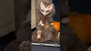 Коллекция игрушек по Гарри Поттеру / Harry Potter toys collection