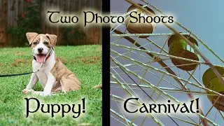 Film Photography - New Puppy & Carnival with revolog 600nm