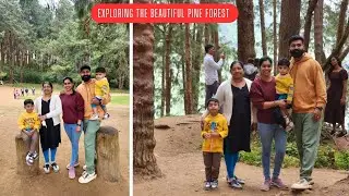Beauty of Pine Forest Ooty/ Family