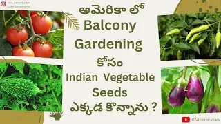 Where did i bought Indian vegetable seeds in USA??|| Balcony Garden