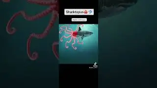 Most Dangerous Animal Cross Breeds Sharktopus 💀🦈🐙 #youtubeshorts #epicvideo