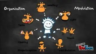Occupational Therapy Carry Over (Implementing a Home Exercise Program)