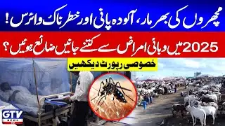 Sindh Disease Outbreak | 2025 Epidemic Death Toll Revealed | Special Report | GTV News