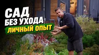 The first low-maintenance garden in my practice. Land Blog dacha tour