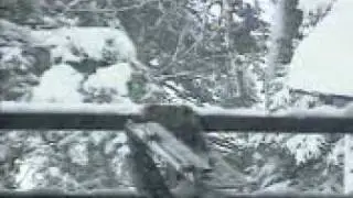 skeet throwing with a squirrel