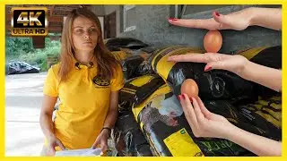 Как увеличить яйценоскость кур? | чем кормить несушек? | корма для несушки 20% | DVOREK