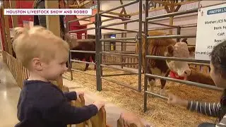 Your guide to RodeoHouston with kids | HOUSTON LIFE | KPRC 2