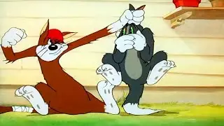 Todos los Da&ntilde;os que Sufren Tom, Jerry y Meathead en Sufferin Cats (1943)