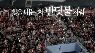 [오늘도 찬란하게 빛난 당신에게 | 도영- 반딧불 FMV]