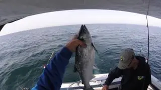 Port Washington Salmon Fishing