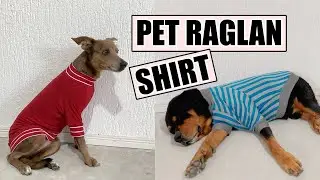 Pet Clothing Easy Cutting and Sewing for Beginners with a downloadable PDF pattern Pet Raglan Shirt