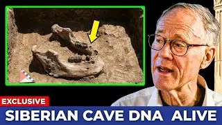 DNA From Aboriginal Australians Uncovered a Human Species Lost to History
