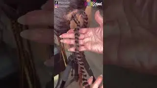 Passion Twists NO Rubber Bands