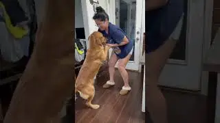 Mariajose bailando