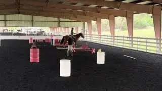 Annika and Jupiter March WE clinic with Manuel Trigo