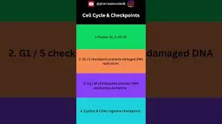 Cell Cycle & Checkpoints | GPAT Revision | pharmadecoded8