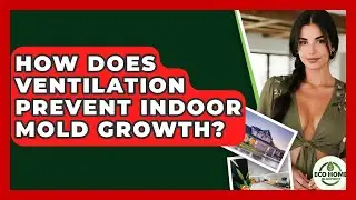 How Does Ventilation Prevent Indoor Mold Growth? - Eco Home Blueprint