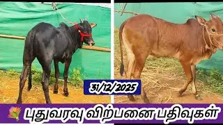 💐6 விற்பனை பதிவுகள் #sales #cow #agriculture  💥🔥 