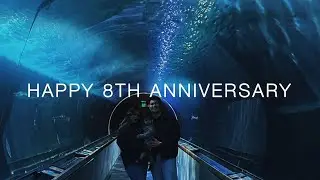 OUR 8TH ANNIVERSARY