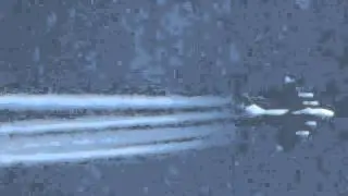 tz 20 zoom test