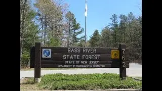 Bass River State Forest Short Film