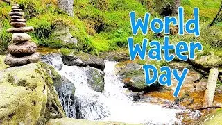 World Water Day - Tag des Wassers ♫ DONIKKL Kinderlieder ♫ Singen, Tanzen, Bewegen