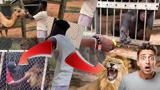 Eeeii😳😳 I nearly Attàcked by a gyata at a Kumasi zoo,A visit to Kumasi Zoo went wrong😳🤔