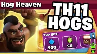 HOW TO USE HOGS AT TH11 - Hog Heaven Event - 