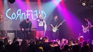 CornField - Daddy (Live)