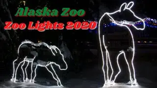 Alaska Zoo - Zoo Lights Preview 2020